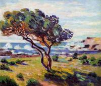 Guillaumin, Armand - Gust of Wind, le Brusc